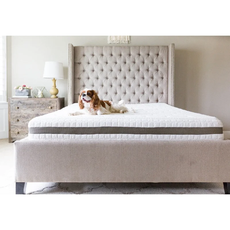 Polyester - foam mattresses for budget - friendly optionsSleep Evolution Luxury 12-inch Queen-size Gel Memory Foam Mattress Polyester - foam mattresses for budget - friendly optionsSleep Evolution Luxury 12-inch Queen-size Gel Memory Foam Mattress